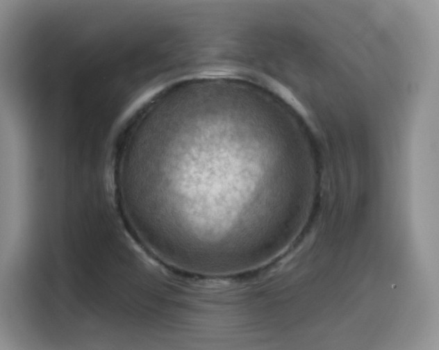 X0000114581456200910191513