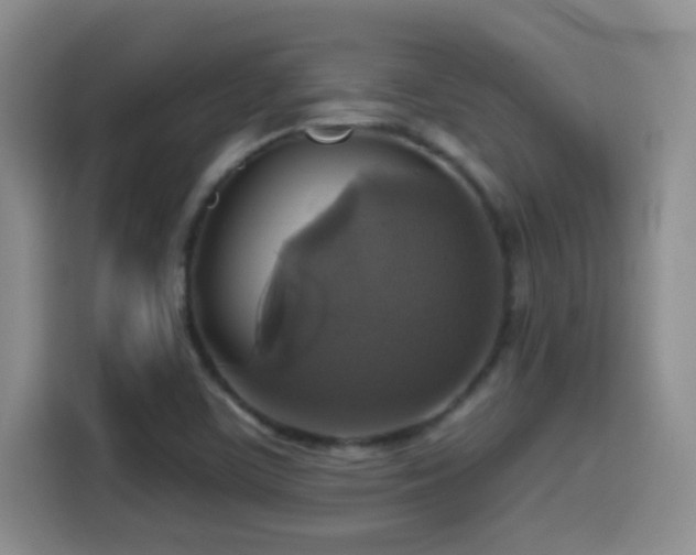 X0000114581459200910191513