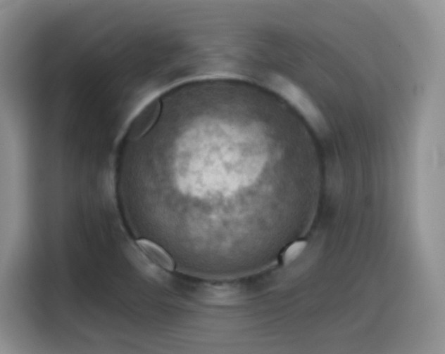 X0000114581460200910191513