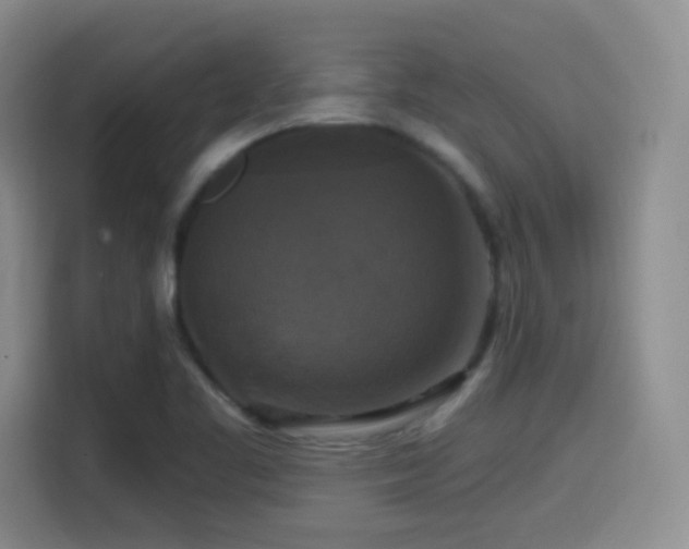 X0000114581461200910191513