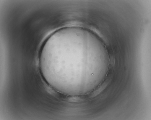 X0000114581462200910191513