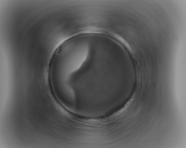 X0000114581463200910191513