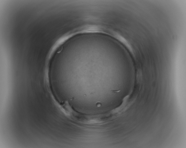 X0000114581464200910191513