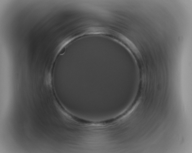 X0000114581465200910191513