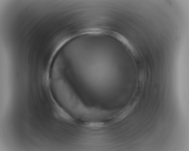 X0000114581466200910191513