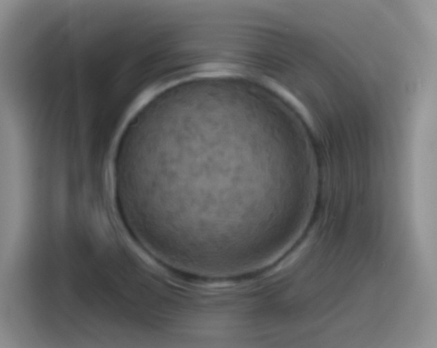 X0000114581467200910191513