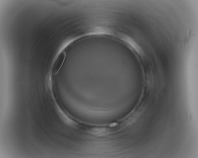 X0000114581468200910191513