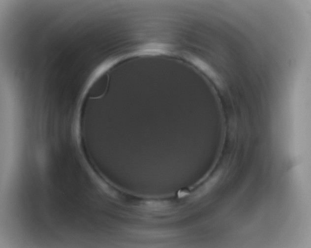 X0000114581469200910191513