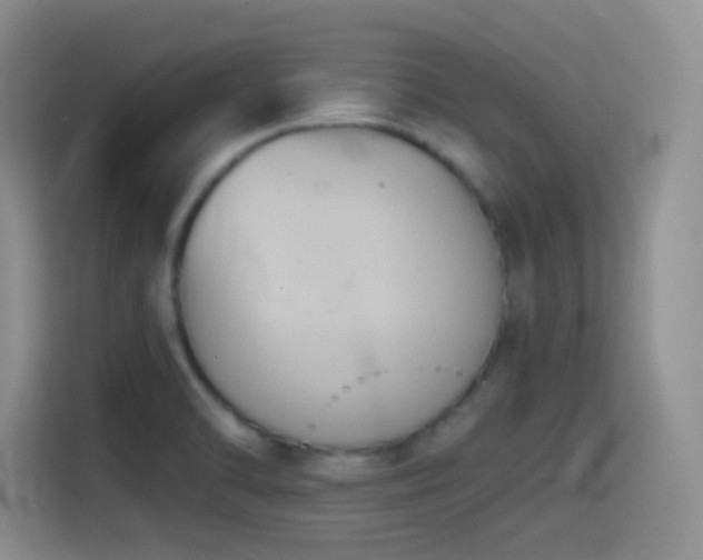 X0000114581470200910191513