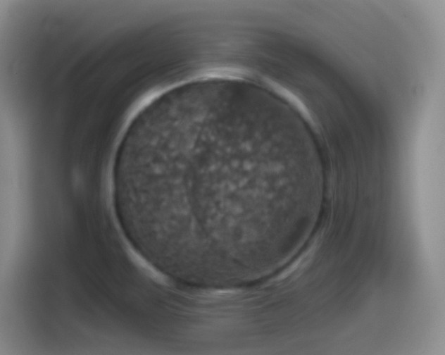 X0000114581471200910191513