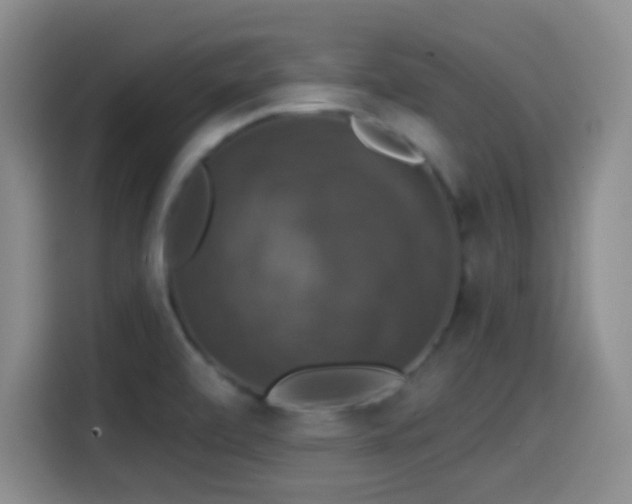 X0000114581472200910191513