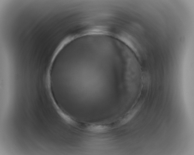 X0000114581474200910191513