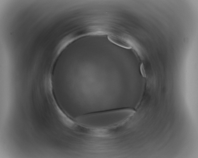 X0000114581476200910191513