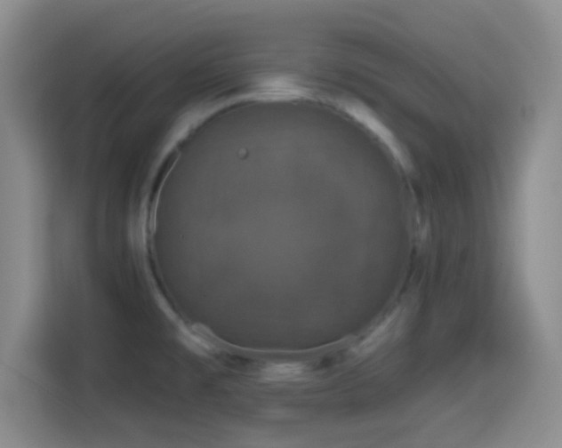 X0000114581477200910191513