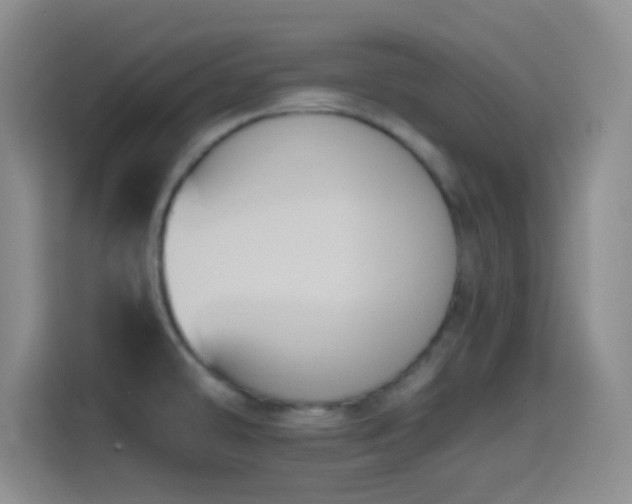 X0000114581478200910191513