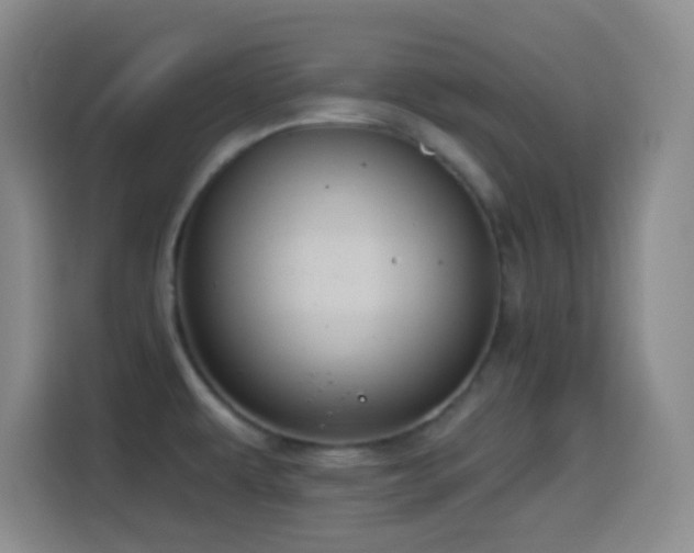 X0000114581479200910191513