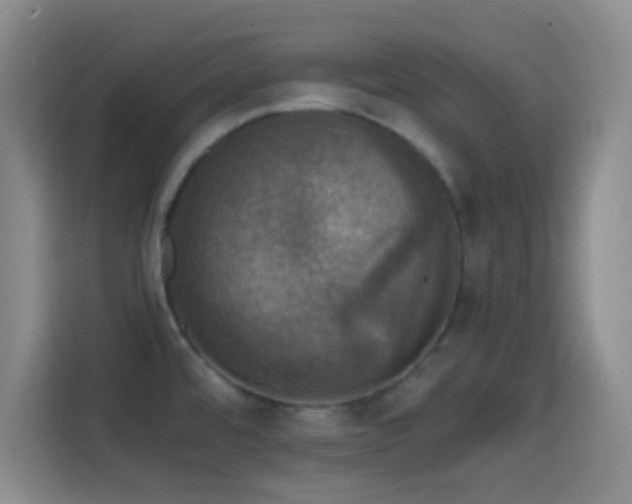 X0000114581480200910191513