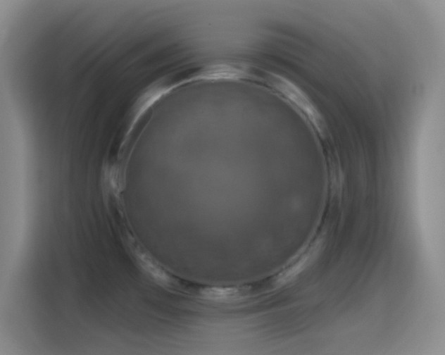 X0000114581481200910191513