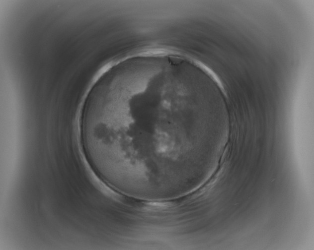 X0000114581483200910191513