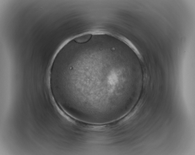 X0000114581484200910191513