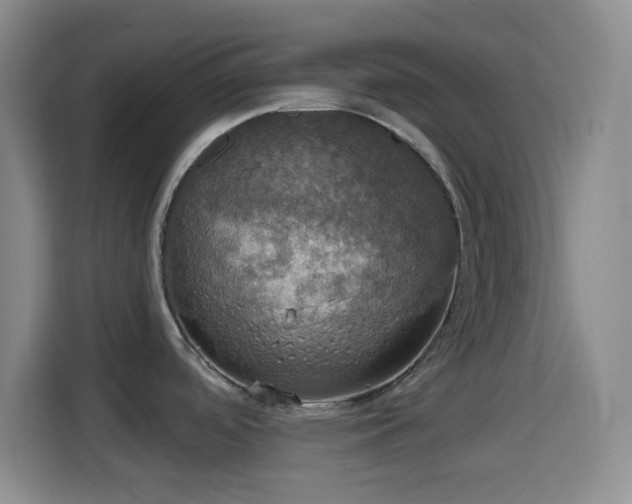 X0000114581488200910191513