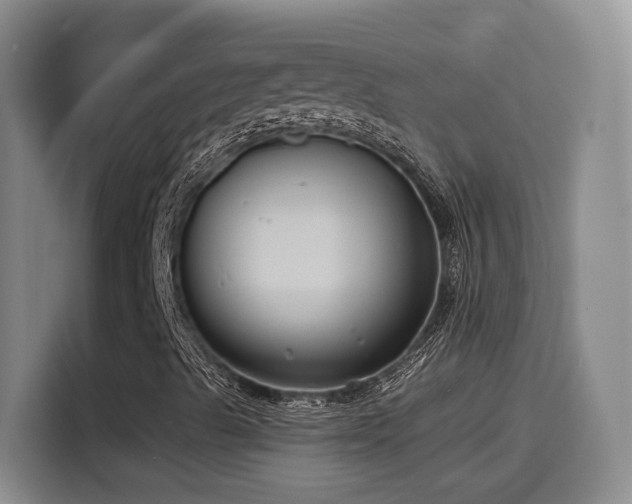 X0000114581489200910191512