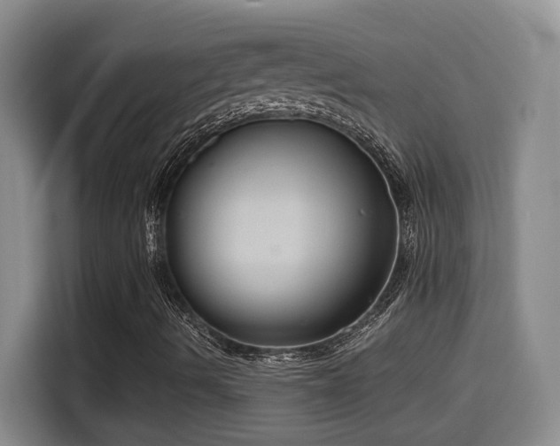 X0000114581490200910191512