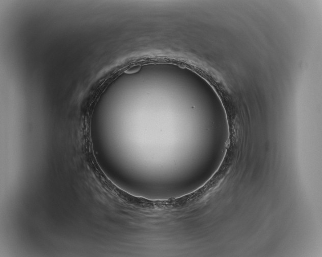 X0000114581494200910191512