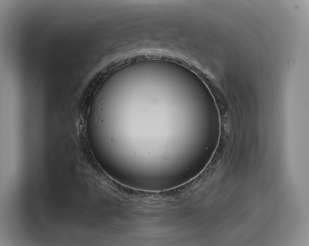 X0000114581495200910191512