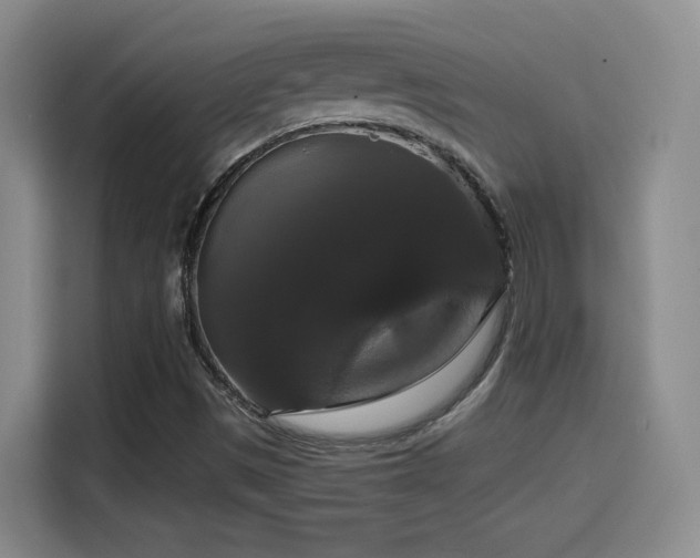 X0000114581497200910191513