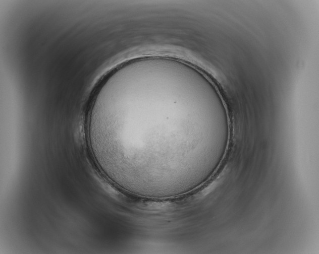 X0000114581498200910191513