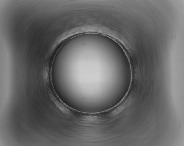 X0000114581499200910191513