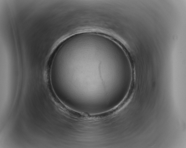 X0000114581501200910191513