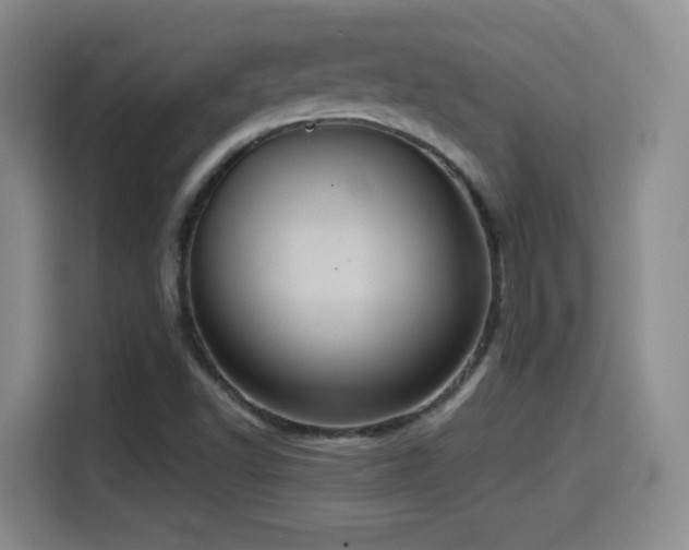 X0000114581502200910191513