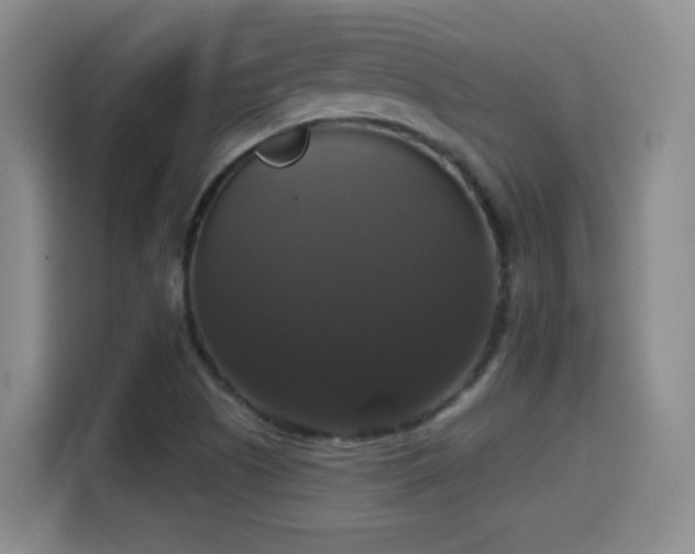 X0000114581505200910191513