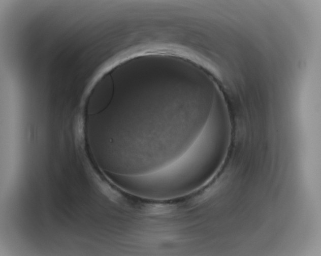 X0000114581506200910191513