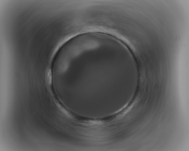 X0000114581509200910191513