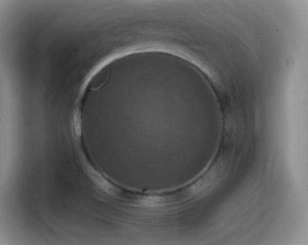 X0000114581510200910191513