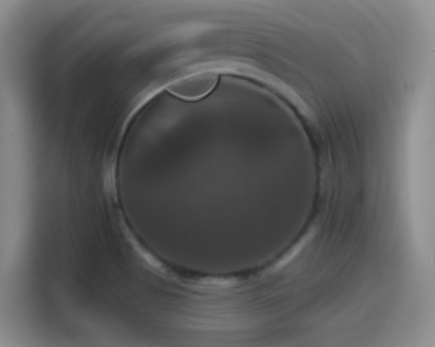 X0000114581513200910191513