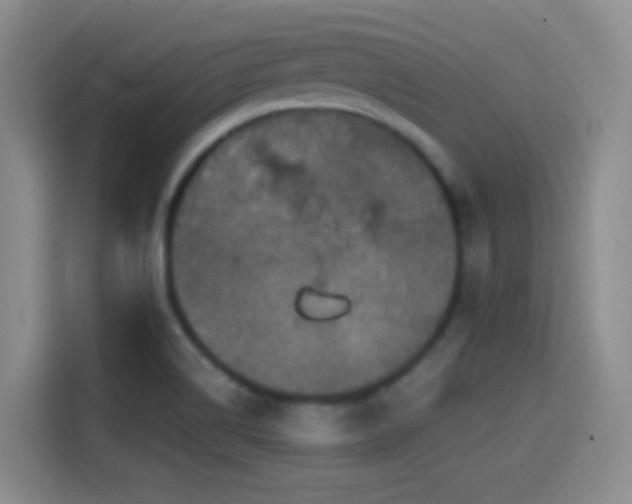 X0000114581514200910191513