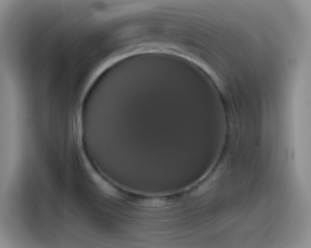 X0000114581515200910191513