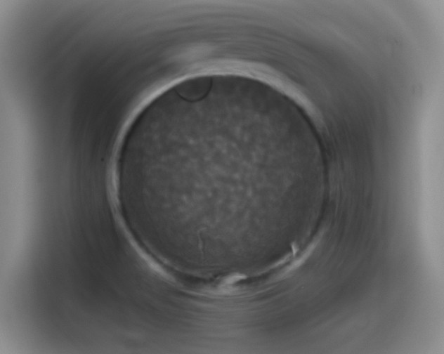 X0000114581517200910191513