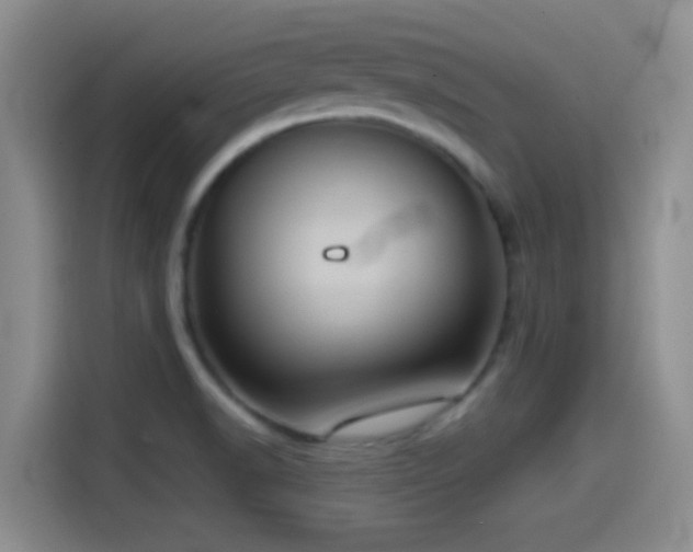 X0000114581518200910191513