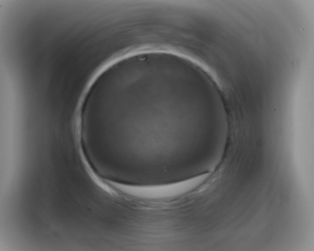 X0000114581519200910191513