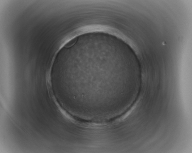 X0000114581521200910191513