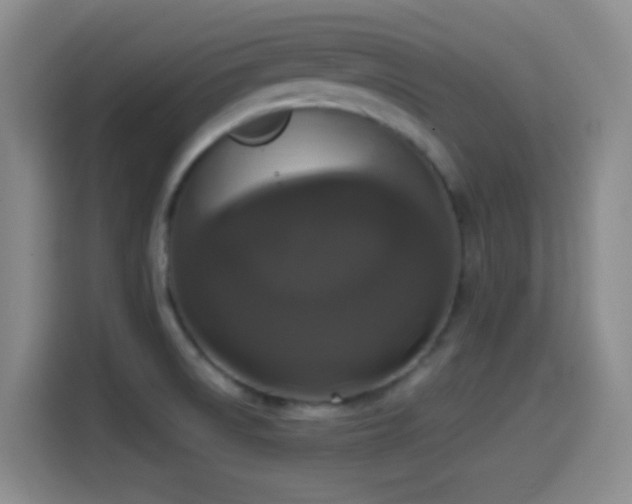 X0000114581522200910191513