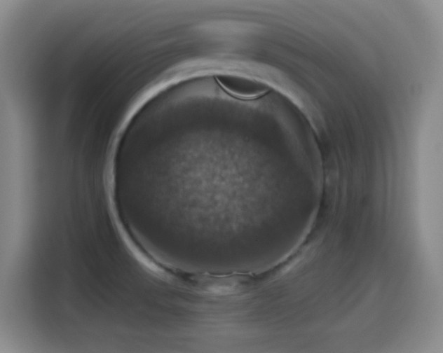 X0000114581523200910191513