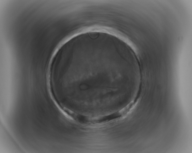 X0000114581525200910191513