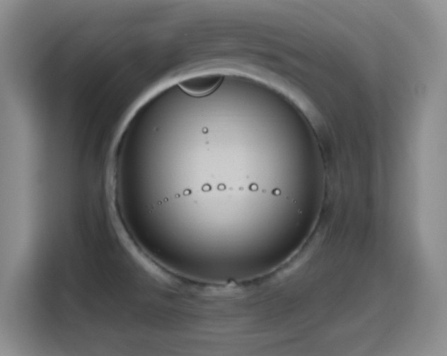 X0000114581526200910191513