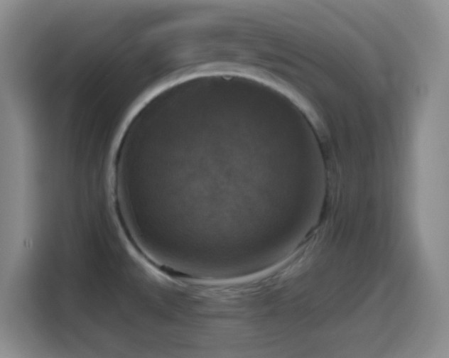 X0000114581527200910191513